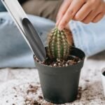 Stainless Steel Soil Scoop Trowel for Bonsai, Succulent and Indoor Plant Potting