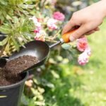 Stainless Steel Garden Hand Trowel with Wooden Handle for Soil Digging and Planting