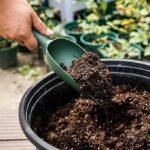 Plastic Garden Hand Trowels for Soil Planting, Digging and Transplanting