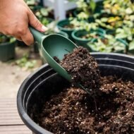 Plastic Garden Hand Trowels for Soil Planting, Digging and Transplanting