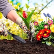 Leaf Shaped High Carbon Steel Garden Trowel for Digging, Planting and Weeding