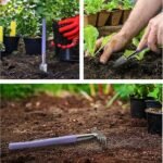 Mini Stainless Steel Garden Tool Set with Shovel, Rake and Trowel for Indoor Plants