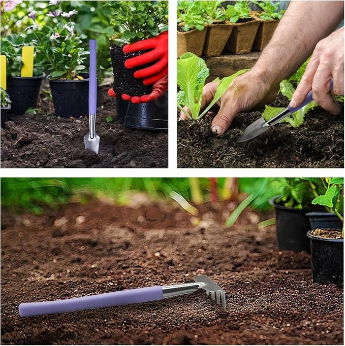 81-ypf0lnaL._AC_SX679_.jpg Mini Stainless Steel Garden Tool Set with Shovel, Rake and Trowel for Indoor Plants - Image 1