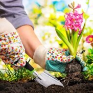 Aluminum Garden Trowel Set with Non-Slip Handles for Digging and Planting