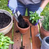 Metal Garden Hand Trowel Set for Soil Digging, Planting and Transplanting - Image 2