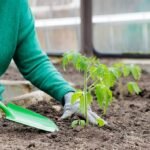Metal Garden Hand Trowel Set for Soil Digging, Planting and Transplanting