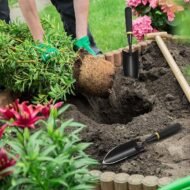 Garden Trowel Set with Ergonomic Rubberized Handles for Planting and Digging