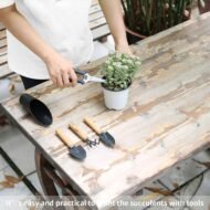 Mini Succulent Garden Tool Set for Indoor Plant Repotting and Plant Care